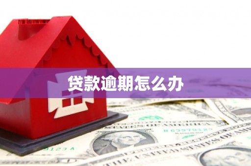 任城贷款逾期怎么办
