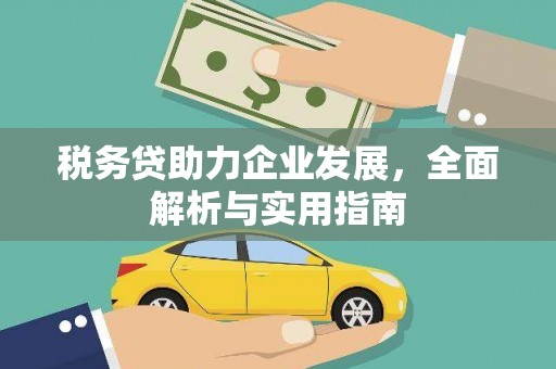 任城税务贷助力企业发展，全面解析与实用指南