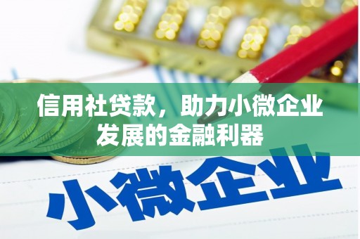 任城信用社贷款，助力小微企业发展的金融利器