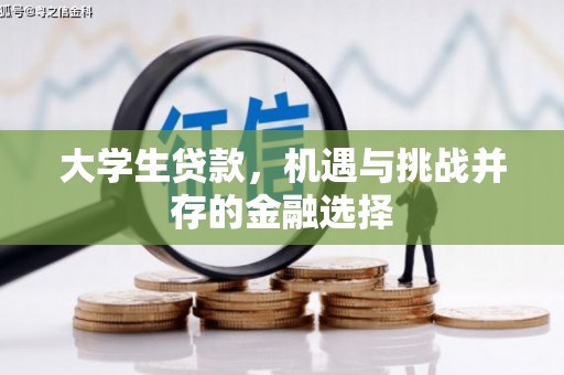 任城大学生贷款，机遇与挑战并存的金融选择