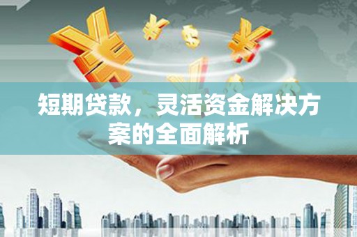 任城短期贷款，灵活资金解决方案的全面解析