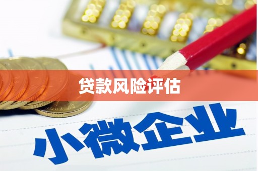 任城贷款风险评估