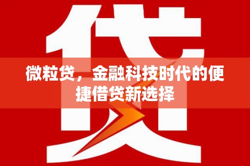 任城微粒贷，金融科技时代的便捷借贷新选择