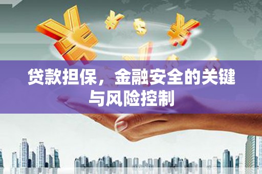 任城贷款担保，金融安全的关键与风险控制