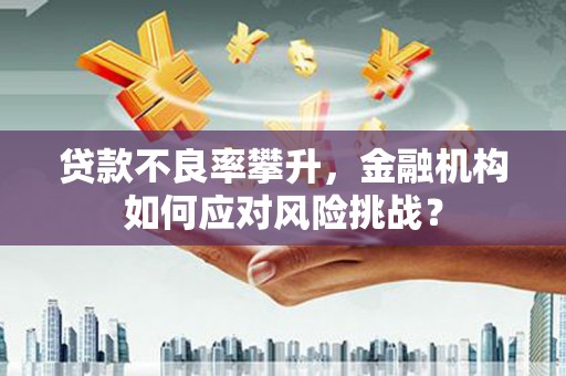 任城贷款不良率攀升，金融机构如何应对风险挑战？