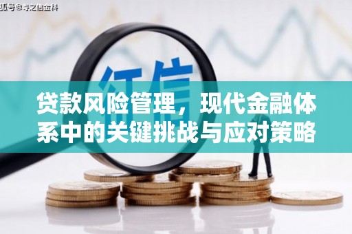 任城贷款风险管理，现代金融体系中的关键挑战与应对策略