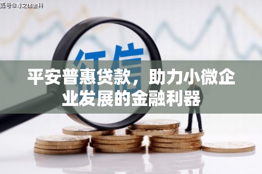 任城平安普惠贷款，助力小微企业发展的金融利器