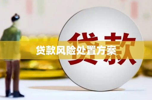 任城贷款风险处置方案