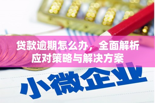 任城贷款逾期怎么办，全面解析应对策略与解决方案