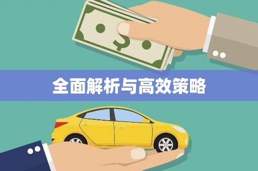 任城全面解析与高效策略