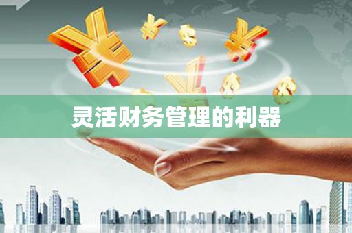 任城灵活财务管理的利器