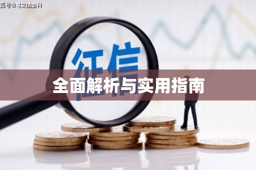 任城全面解析与实用指南