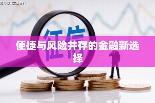 任城便捷与风险并存的金融新选择