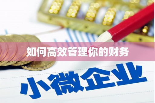 任城如何高效管理你的财务