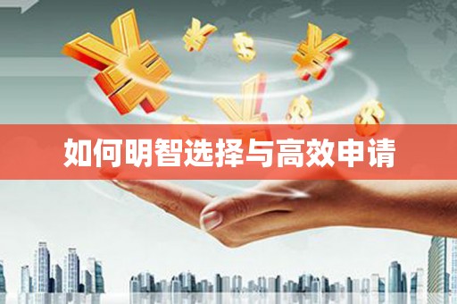 任城如何明智选择与高效申请