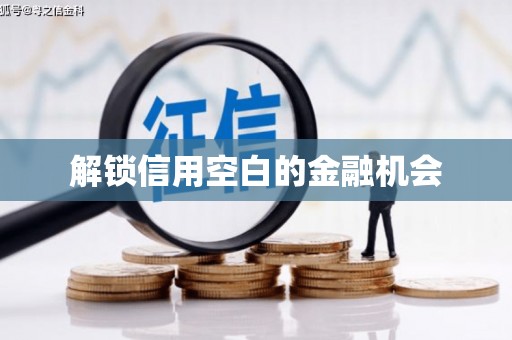 任城解锁信用空白的金融机会