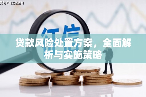 任城贷款风险处置方案，全面解析与实施策略