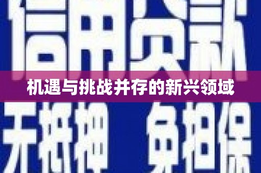任城机遇与挑战并存的新兴领域