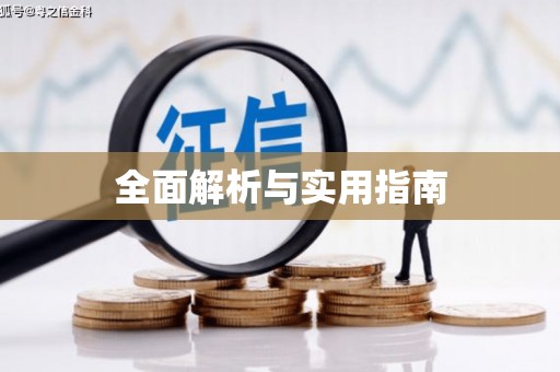 任城全面解析与实用指南