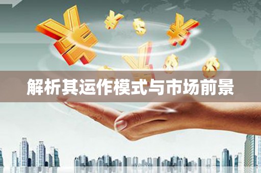 任城解析其运作模式与市场前景