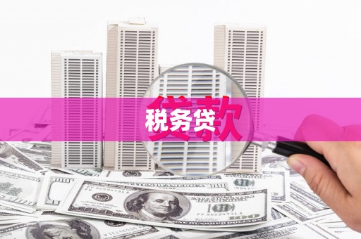 任城税务贷