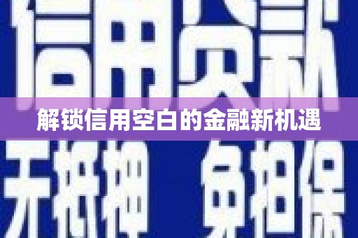 任城解锁信用空白的金融新机遇