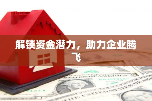任城解锁资金潜力，助力企业腾飞