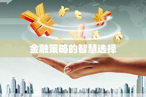 任城金融策略的智慧选择