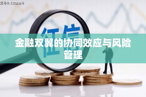 任城金融双翼的协同效应与风险管理