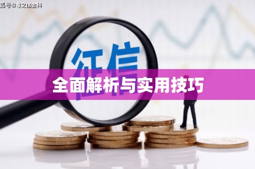 任城全面解析与实用技巧