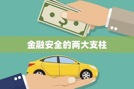 任城金融安全的两大支柱