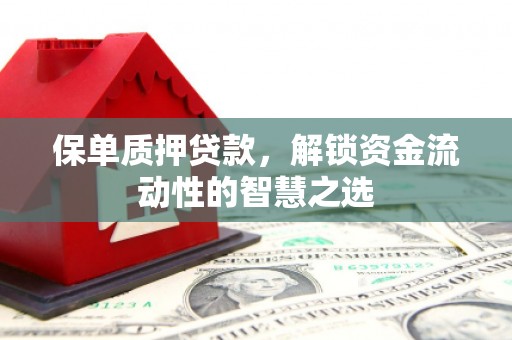任城保单质押贷款，解锁资金流动性的智慧之选